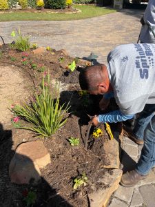 Buda Sprinkler Repair Tech